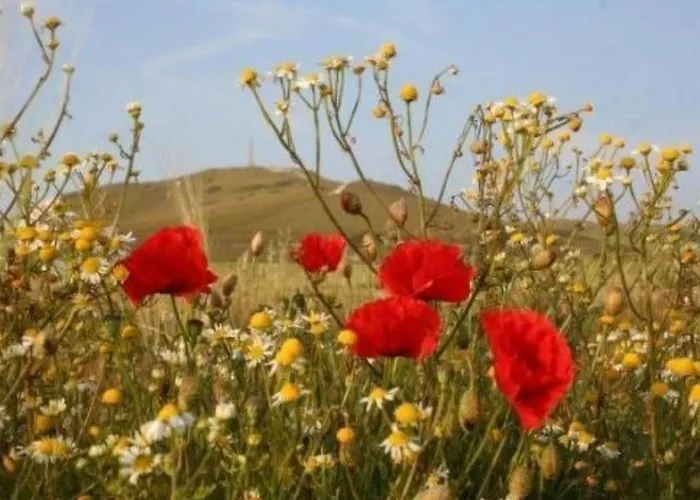 Wunderschoenes Haus Mit Pool- Garten Und Grill By Interhome Tatil Evi