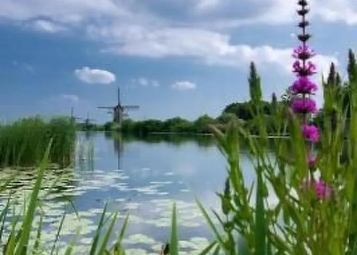 Wunderschoenes Haus Mit Pool- Garten Und Grill By Interhome * Dirkshorn